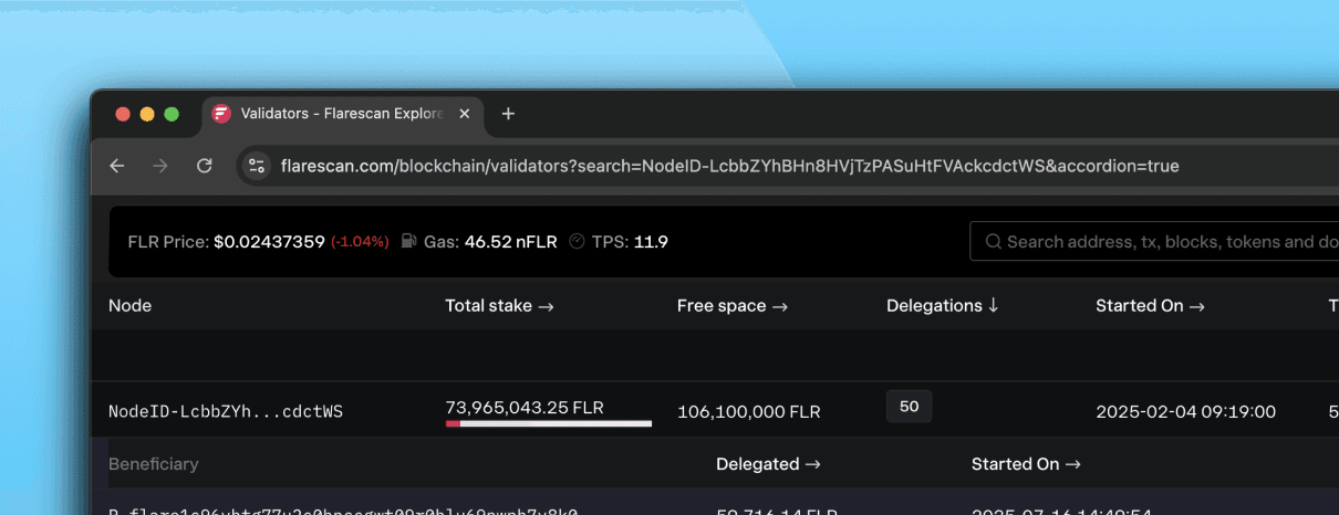 Flare Validator 01